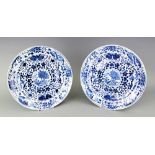 A pair of 19th century Chinese blue and white plates,