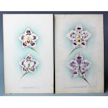 James Laid MacFarlane (1836-1931), Pair of botanical watercolours,