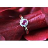 A ruby and diamond oval cluster ring, the central ruby within a surround of fourteen diamonds,