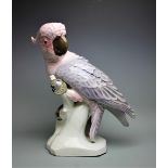 A Viennese model of a parrot,