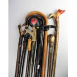 A collection of walking sticks, to include an example with dogs head handle, 108cm,