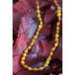 A 'butterscotch' amber bead necklace, each approx 9mm wide, weight 16.