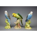 A Beswick Budgerigar (facing left) no 1216B,