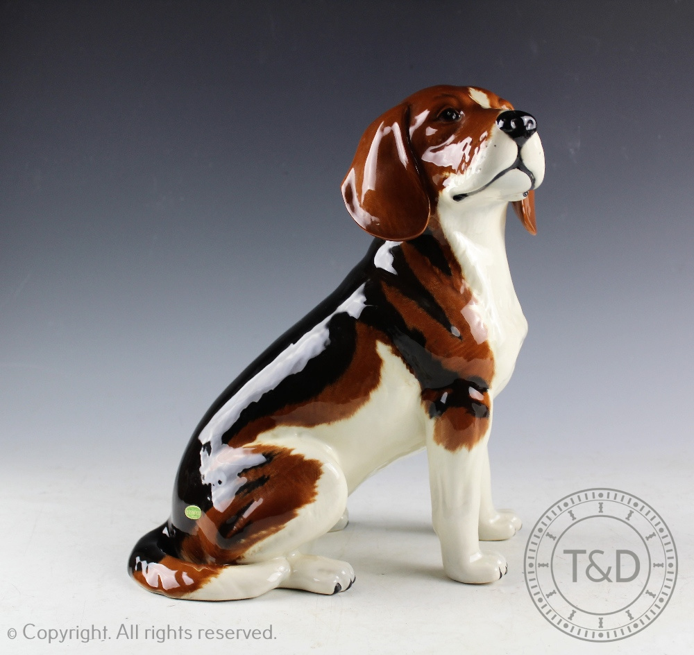 A Beswick Fireside Model Series Beagle, model number 2300, designed by Albert Hallam,