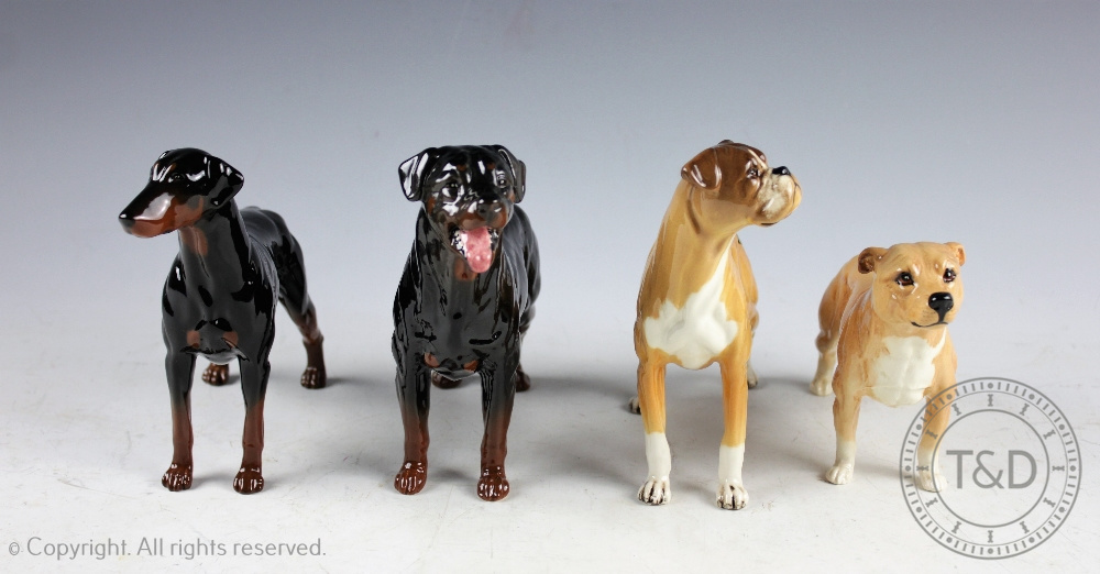 A collection of four Beswick dogs, each boxed, comprising; Doberman, No.