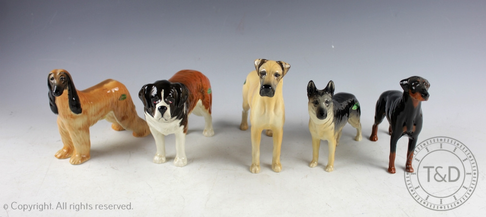 A collection of five Beswick dogs, comprising: Afghan Hound 'Hajubah of Davlen', No.