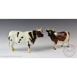 A Beswick Ayreshire Bull 'Champion Whitehill Mandate', model number 1454B, second version,