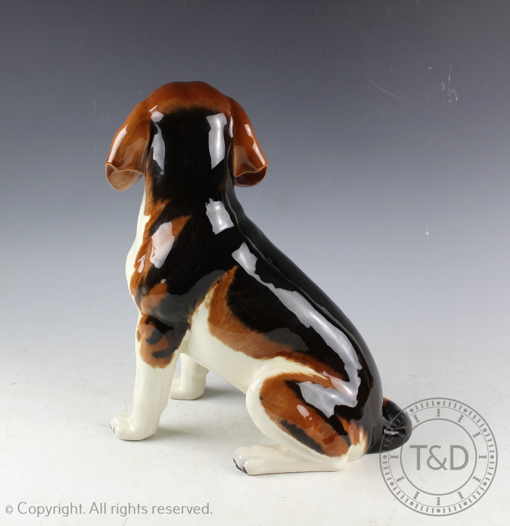 A Beswick Fireside Model Series Beagle, model number 2300, designed by Albert Hallam, - Bild 3 aus 4