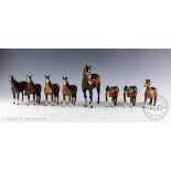An assorted collection of eight Beswick brown gloss horses to include model number 1480 and 1483,