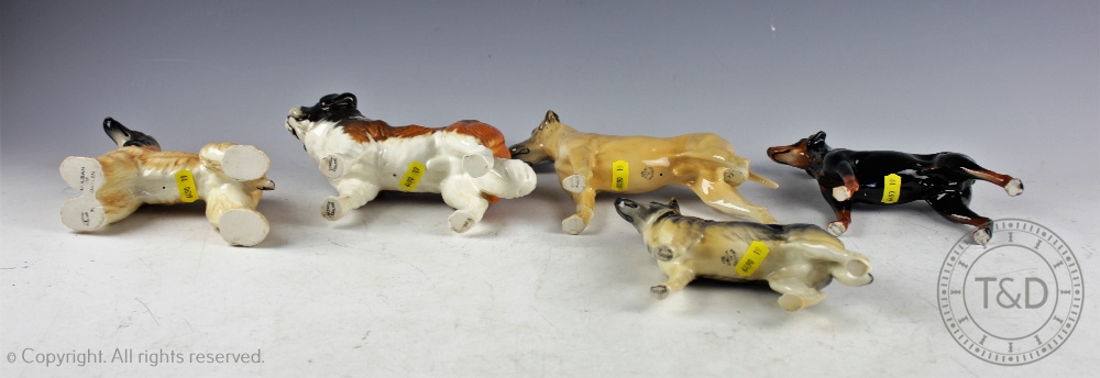 A collection of five Beswick dogs, comprising: Afghan Hound 'Hajubah of Davlen', No. - Bild 3 aus 3