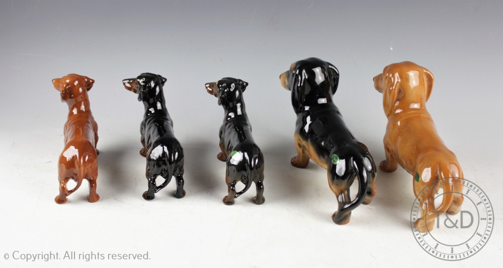 A collection of five Beswick Dacshunds comprising; 2 x No. - Bild 2 aus 3