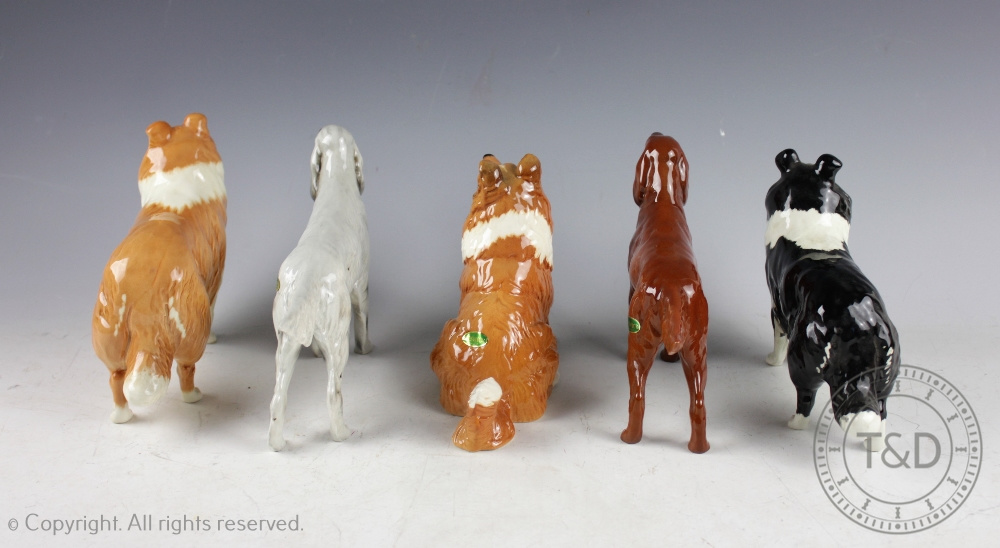 A collection of five Beswick dogs, comprising: Irish Setter 'Sugar of Wendover' No. 966, 14. - Bild 2 aus 3