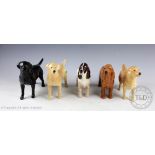 A collection of five Beswick dogs, comprising: 2 x Labrador 'Solomon of Wendover', No.
