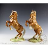Two Beswick Welsh cob (rearing), model number 1014, designed by Arthur Gredington, first version,