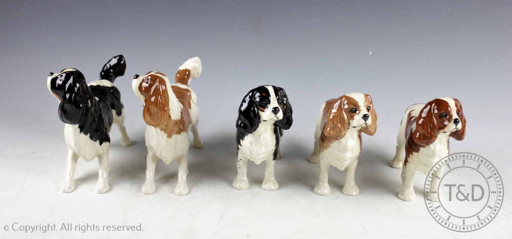 A collection of King Charles Spaniels, comprising; King Charles Spaniel Blenheim, No. - Bild 2 aus 4