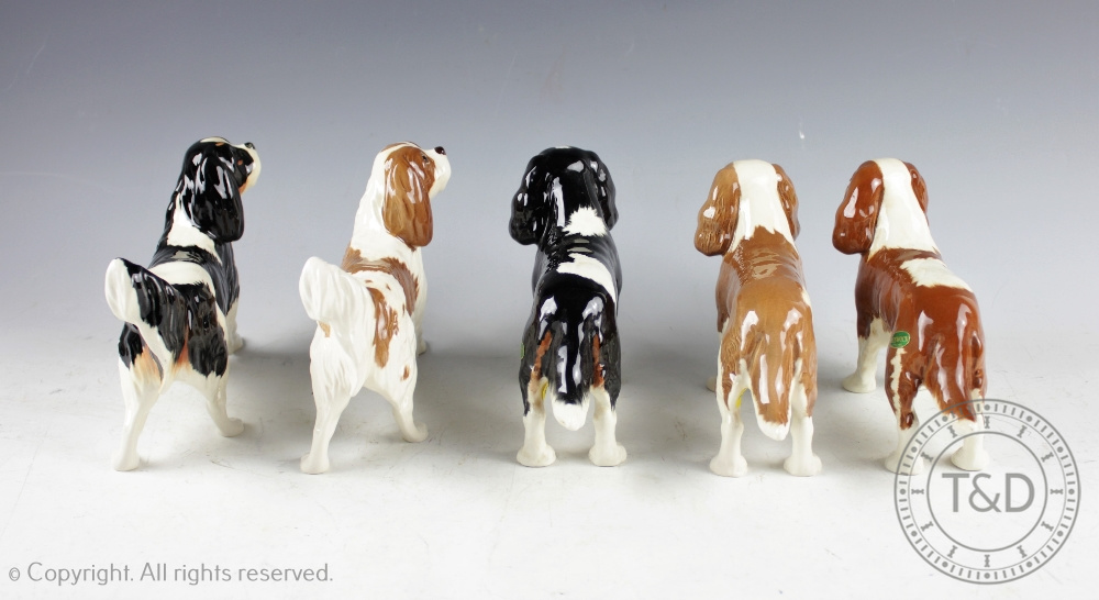 A collection of King Charles Spaniels, comprising; King Charles Spaniel Blenheim, No. - Bild 3 aus 4
