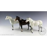 Three Beswick Thoroughbred Stallions (large), model number 1772, designed by Arthur Gredington,