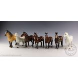 A complete set of Beswick Mountain and Moorland Ponies comprising; Connemara pony, 'Terese of Leam',