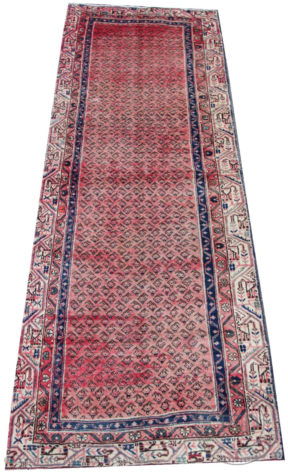 A Bokhara rug, worked with eight gulls against a red ground,