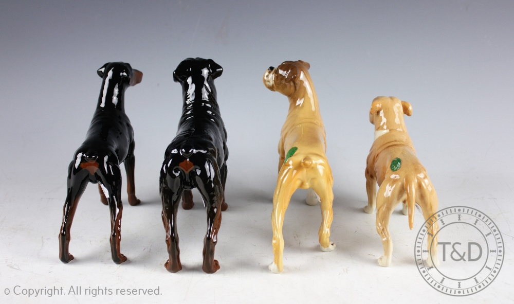 A collection of four Beswick dogs, each boxed, comprising; Doberman, No. - Bild 2 aus 2