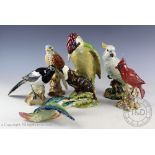 A collection of Beswick birds comprising; woodpecker, model number 1218, magpie, red cardinal,