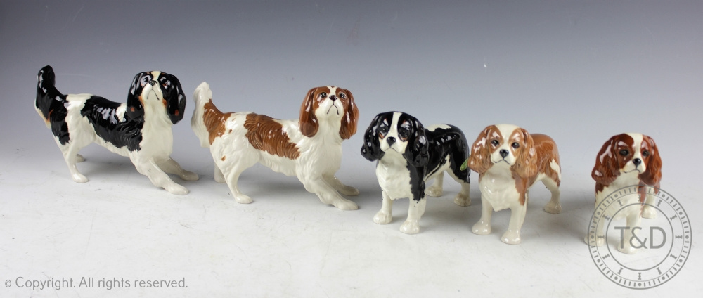 A collection of King Charles Spaniels, comprising; King Charles Spaniel Blenheim, No.