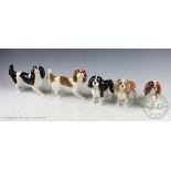 A collection of King Charles Spaniels, comprising; King Charles Spaniel Blenheim, No.