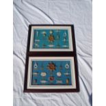 Two framed and glazed nautical displays, mostly knot examples, both 51 x 37cm together with