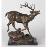 Bronze deer on black marble base. By P. Lecourtier. (Prosper Lecourtier 1851-1924). Beautiful
