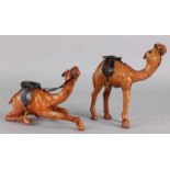 Two leather camels with glass eyes, 20th century. In good condition. Size: 13 - 20 cm