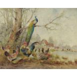 Hänger Max (1898 - 1961, Germany) Peacock and poultry by a pond, 1. half of 20th century, oil on