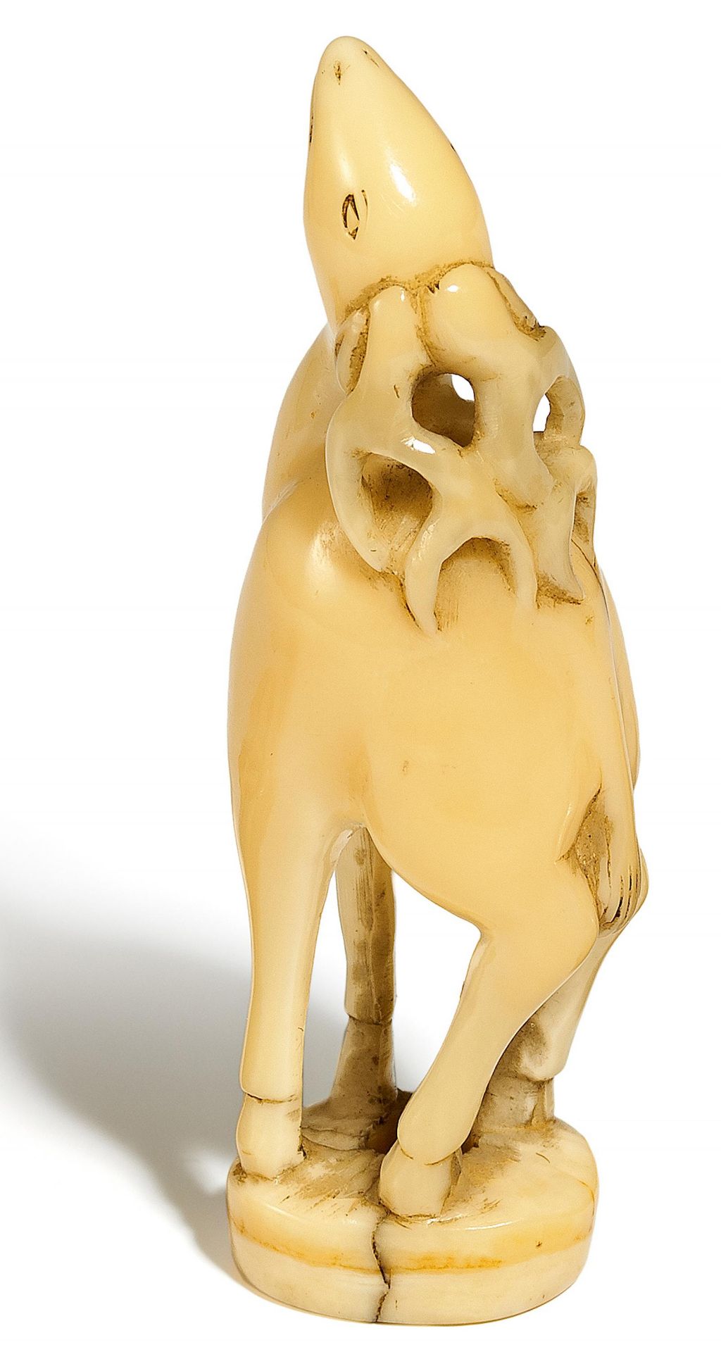 NETSUKE: HIRSCH. Japan. Edo-Zeit. Pottwalzahn. Das junge Tier, den Kopf mit dem weit verzweigten