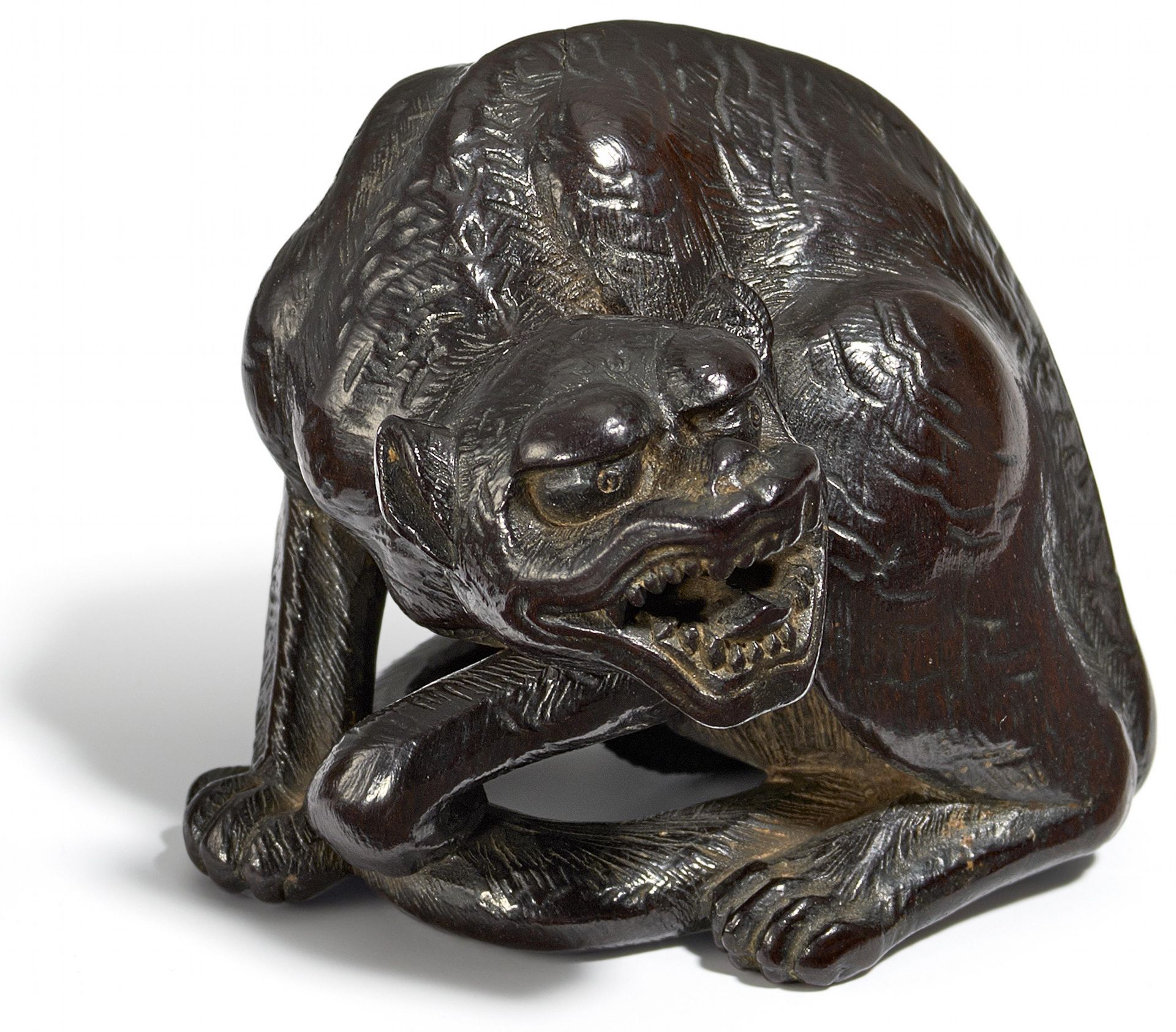 NETSUKE: HOCKENDER TIGER. Japan. Edo-Zeit. 19. Jh. Schwarzes Kakiholz, sehr bewegt und expressiv