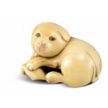 NETSUKE: HÜNDCHEN. Japan. Edo-Zeit. Um 1800. Elfenbein mit schöner goldgelber Gebrauchspatina, die