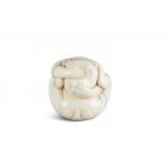 NETSUKE: AFFE. Japan. Edo-Zeit. Hockender Affe in stilisierter Kugelform und sich mit Händen und