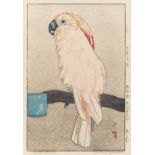 YOSHIDA, HIROSHI 1876 - 1950 Obatan Parrot. Japan. Taishô-Zeit. 1926. Nishiki-e. Ôban, tate-e.