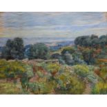 pastel, landschap pastel, 51 x 65, heuvellandschap, onbekend