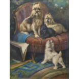 Ronner, pastel hondjes pastel, 58 x 44, honden op sofa, gesigneerd Henriëtte Ronner (=Henriëtte