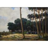 doek gevelde bomen doek, 50 x 70, bomen kappen, onbekend