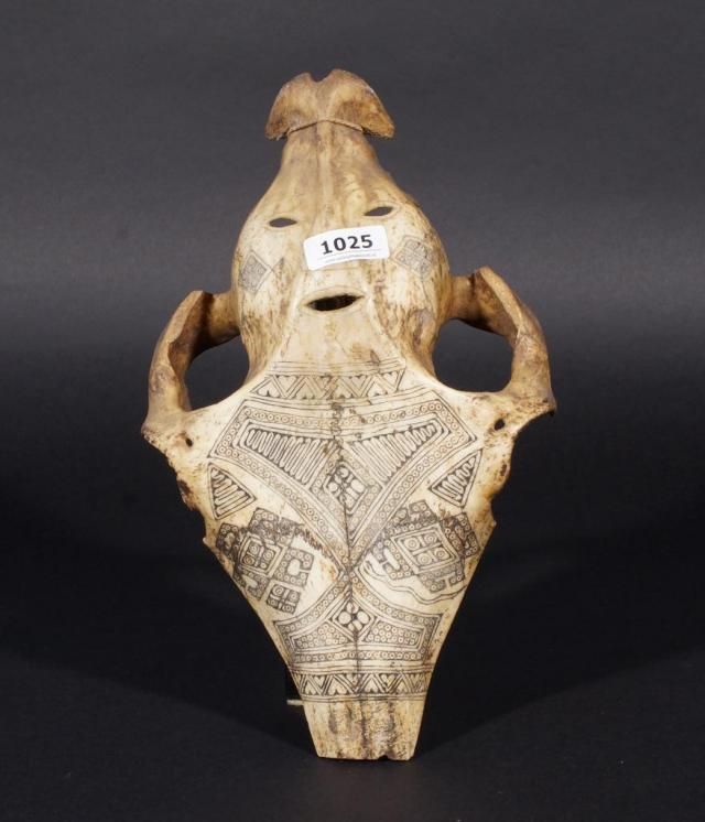 Engraved bovine skull, South America, l. 28 cm. 27.00 % buyer's premium on the hammer price, VAT