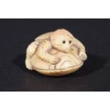 Tagua nut miniature, Turtle-man, signed, l. 4 cm. 27.00 % buyer's premium on the hammer price, VAT