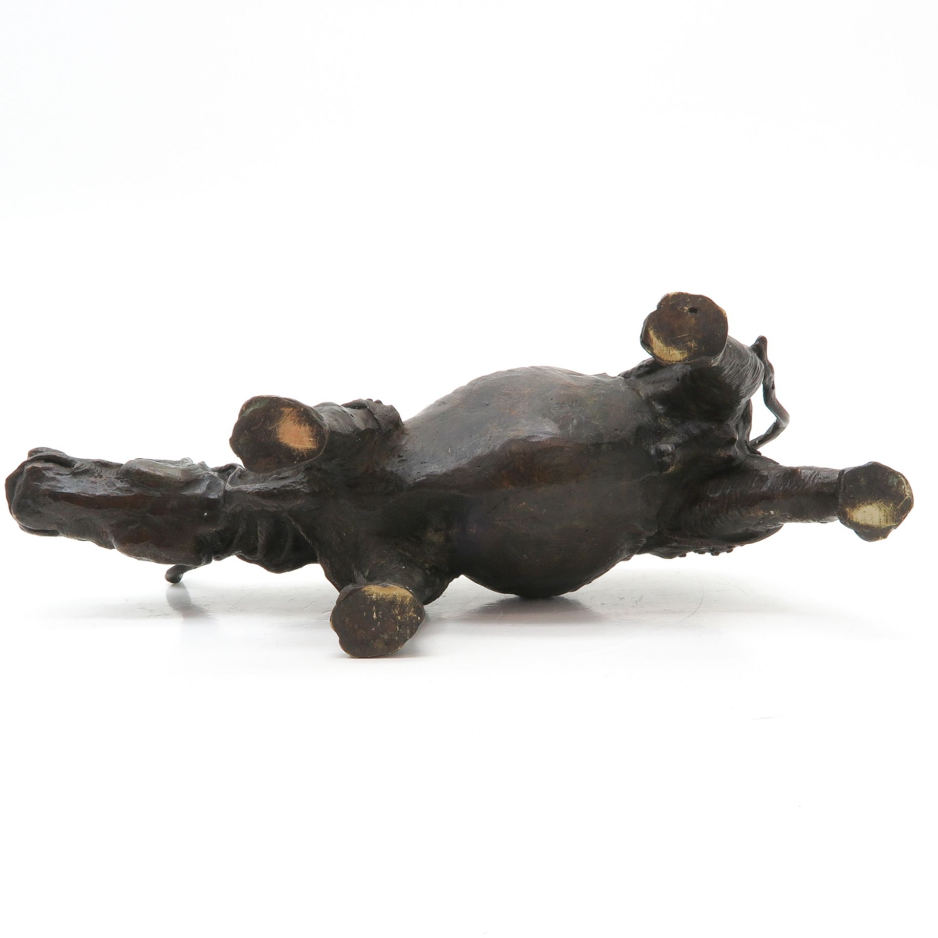 Bronze Sculpture Depicting a Rhino - Bild 6 aus 6