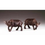 A pair of Asian buffaloes Glazed stoneware Brown decoration China, Qing dynasty Lenght: 33 cm