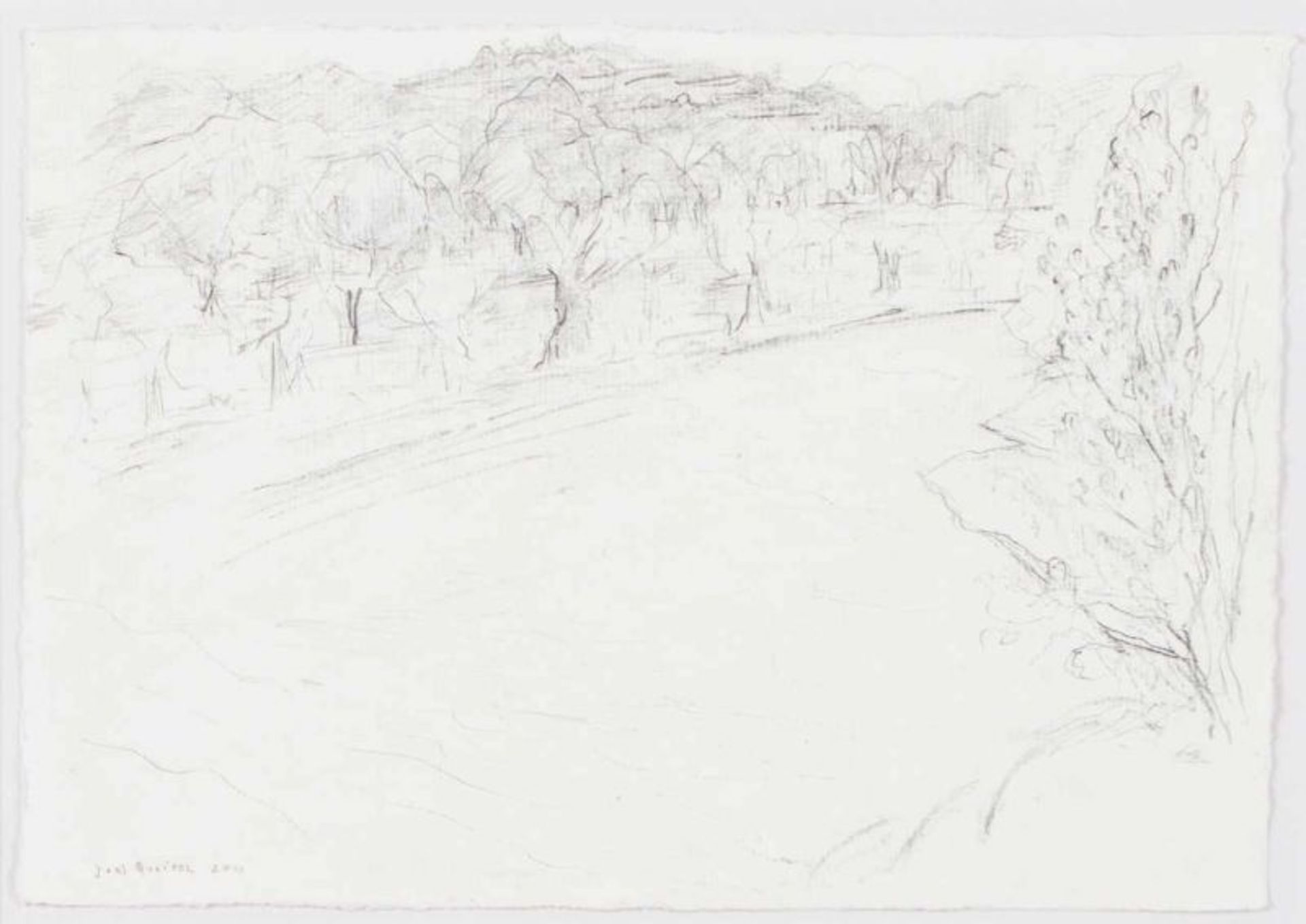 João Queiroz (b. 1957) Untitled Graphite on paper Signed and dated 2011 21x30 cm