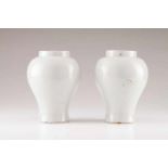 A pair of baluster vases Portuguese faience Monochrome white decoration Possibly Real Fábrica do