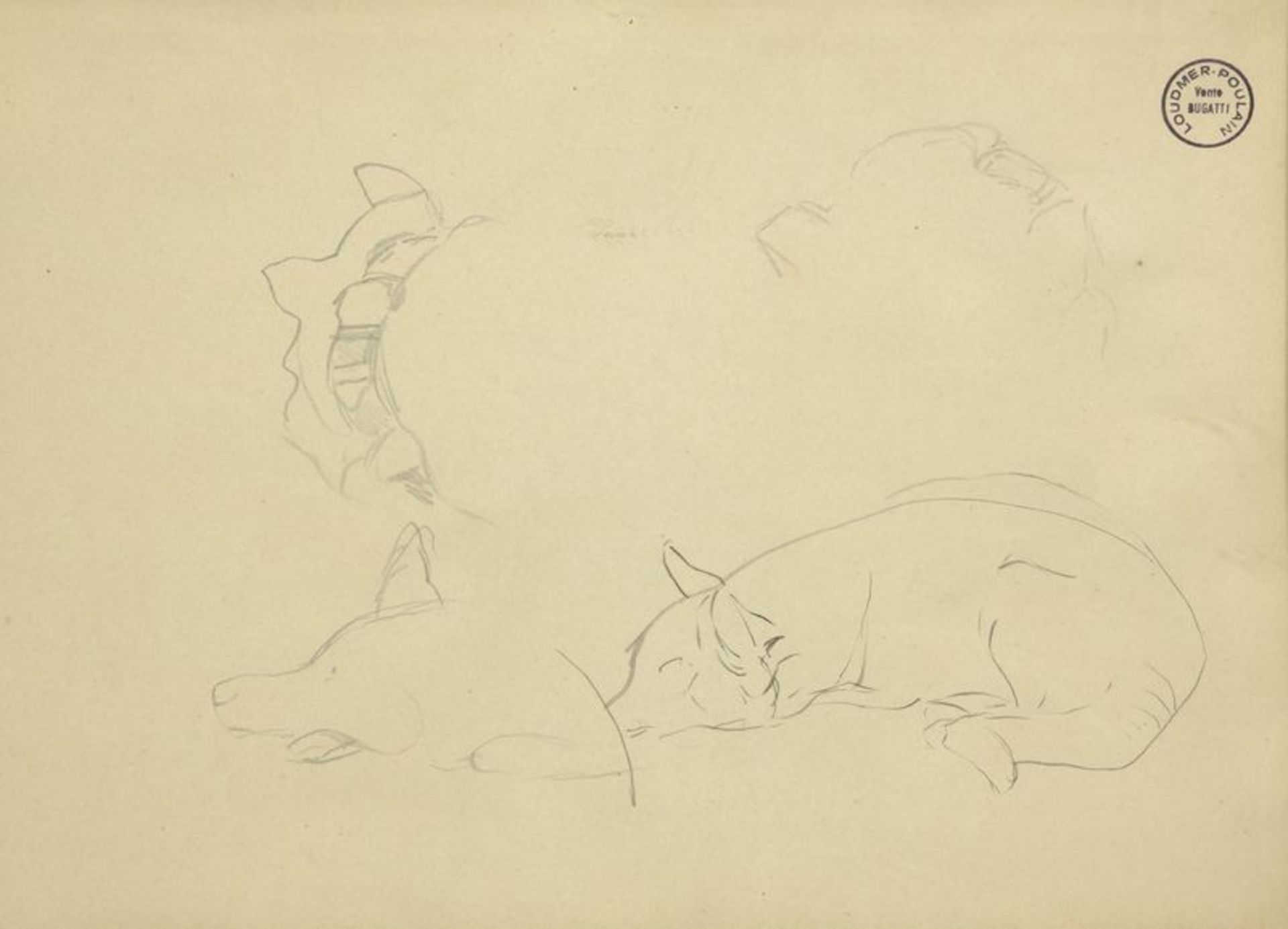 Rembrandt Bugatti - (1884-1916) - Sans titre - Dessin au crayon sur papier - [...] - Bild 5 aus 9