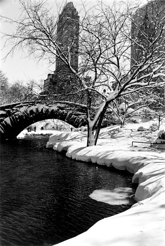 Alfred Eisenstaedt (Dirschau 1898 – 1995 Martha's Vineyard) Central Park after a Snowstorm, New