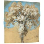 Bernhard Fries (Heidelberg 1820 – 1879 München) Studie eines blühenden Baumes vor blauem Himmel.