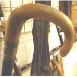 Horn handled ebonised walking stick with