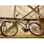 Ladies Universal Pro mountain bike